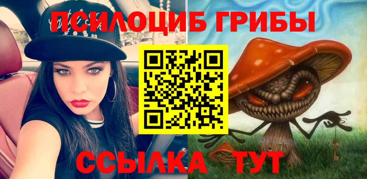 закладка  Псилоцибиновые грибы MAGIC MUSHROOMS  Вход с VPN  Когалым 